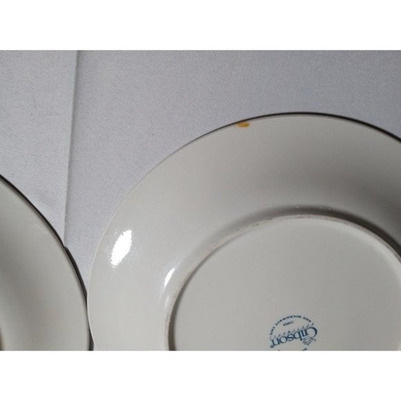 GIBSON Dark Blue Floral Trim Dinnerplates Set of 2 -STAINS, FADING (9a3) - Picture 6 of 10